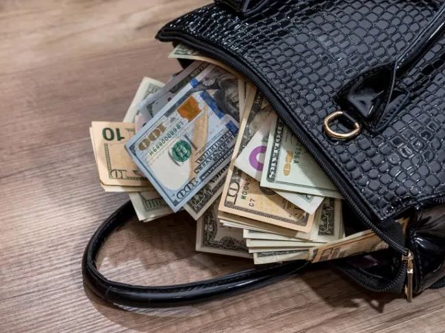 cash purse